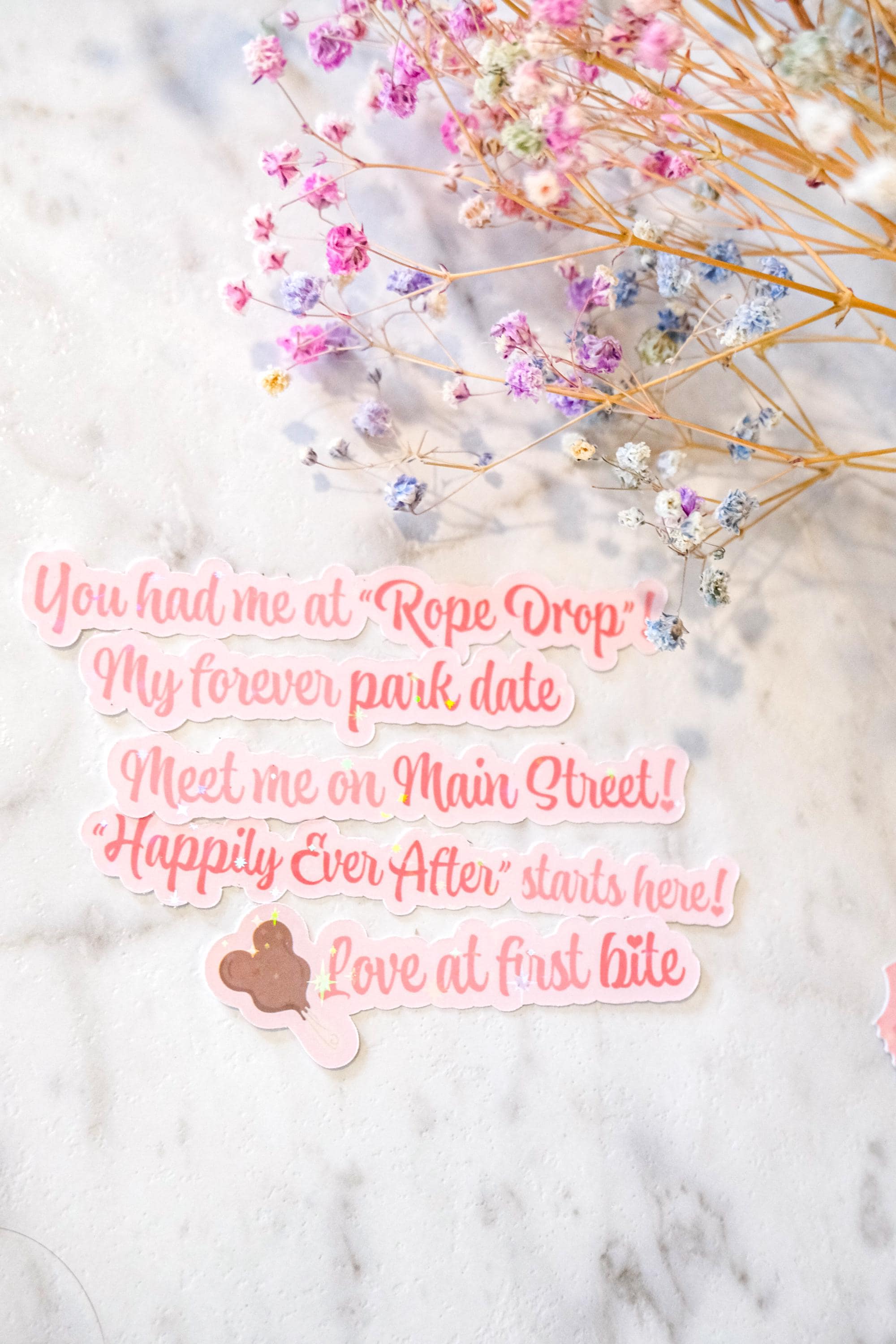 Disney Park Love Valentine's Sticker Bundle