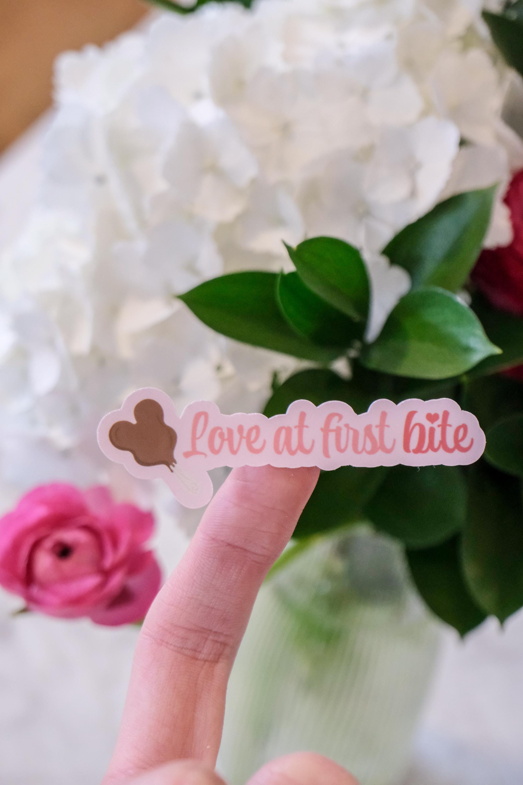 Disney Park Love Valentine's Sticker Bundle
