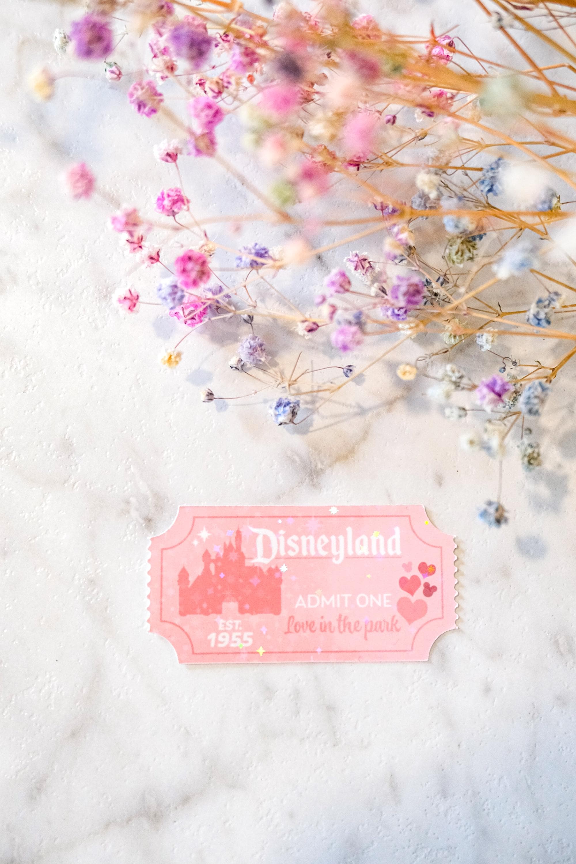 Disneyland Valentine's Ticket Sticker