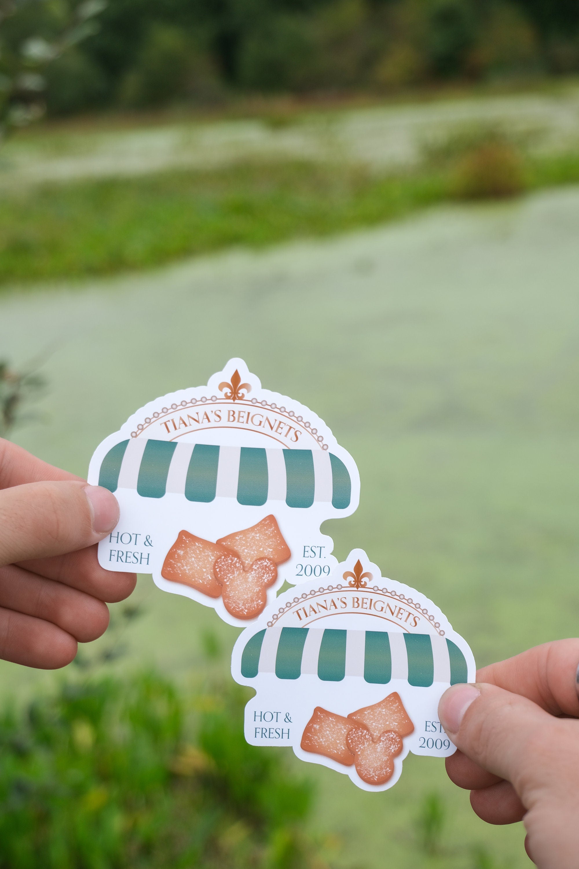 Tiana's Bayou Stickers