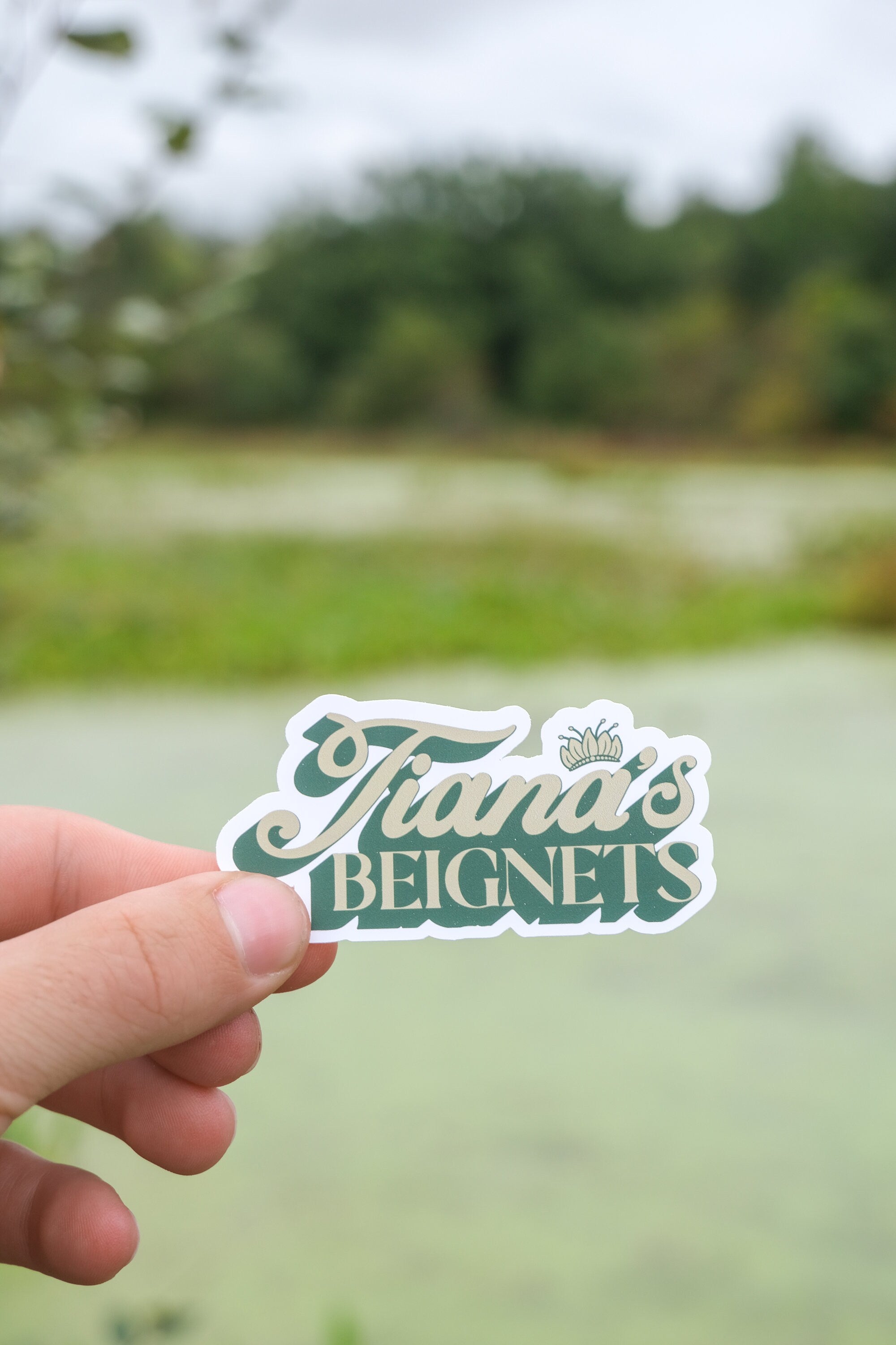 Tiana's Bayou Stickers